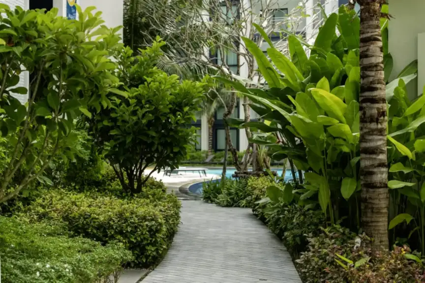 1-Bedroom Condo with Open View at The Title Halo, Phuket