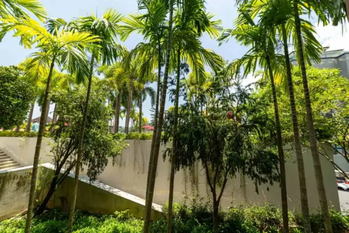 Квартира с 1 спальней и видом на сад в Mida Grande Resort Phuket, Пхукет