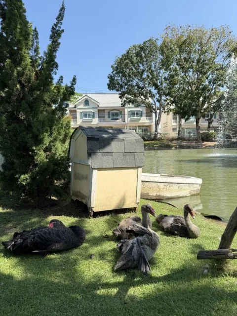 Bristol Park Pattaya