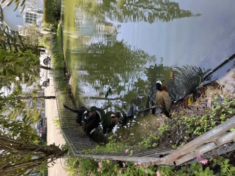 Bristol Park Pattaya