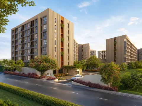 dcondo Cove Phuket — Condos in Kathu from ฿2.48M — project overview in Kathu, Phuket