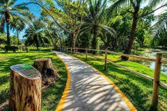 Banyan Tree Beach Residences Oceanus — project image 10