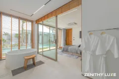 Zenithy Luxe — Зенити Люкс — изображение проекта 15